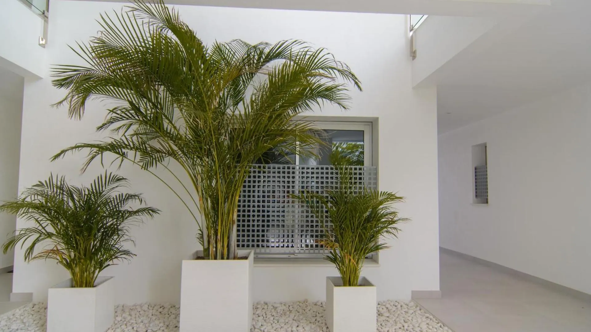 Brand New Apartment In Belaire, Pools, Garden إِستيبونا